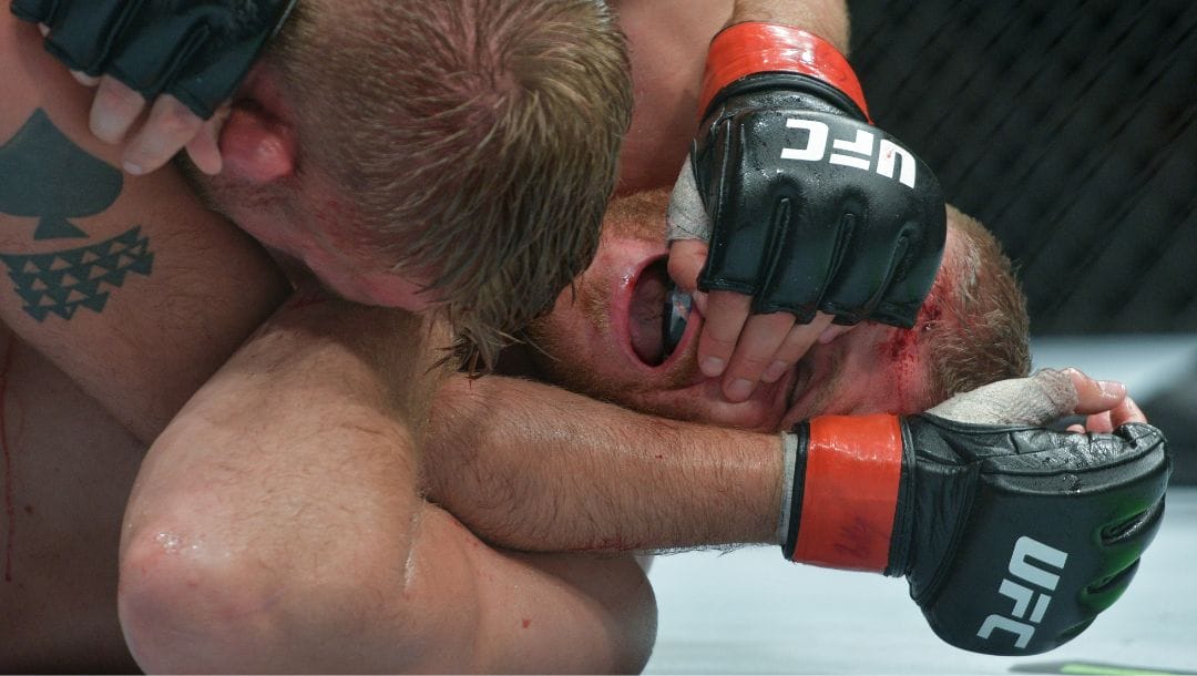 Alexander 'The Mauler' Gustafsson, left, from Sweden and Jan Blachowicz from Poland compete at the UFC Fight Night.