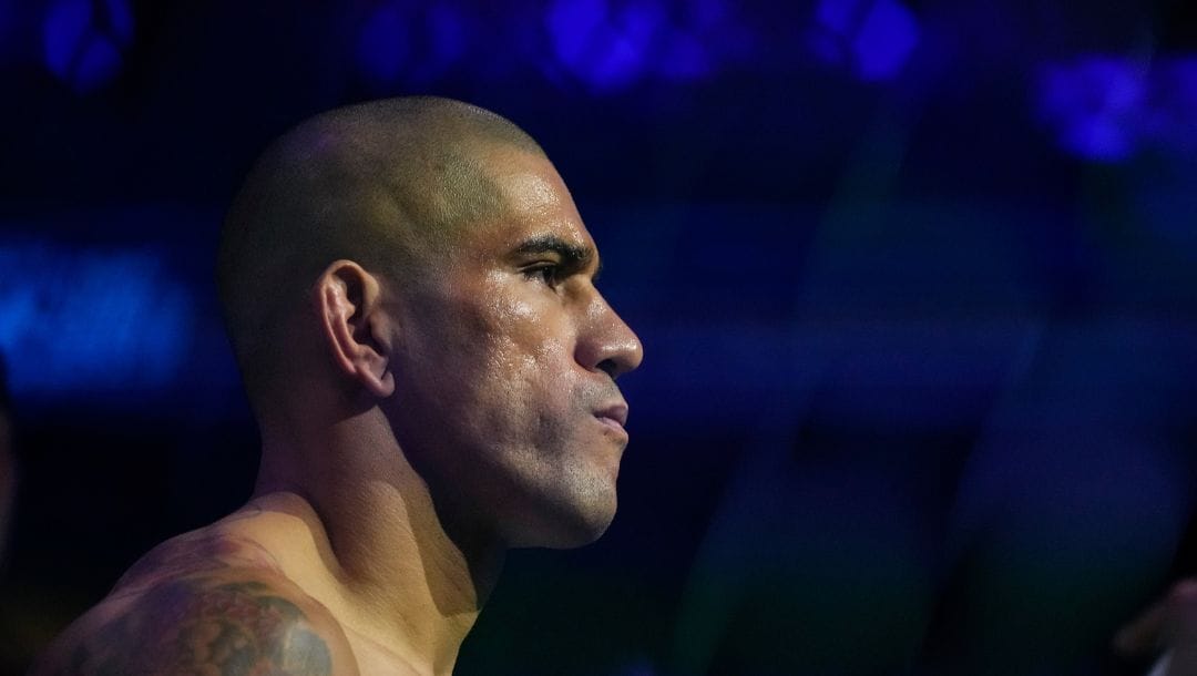 Brazil's Alex Pereira stares at Czech Republic's Jirí Procházka before a light heavyweight title bout at the UFC 295.