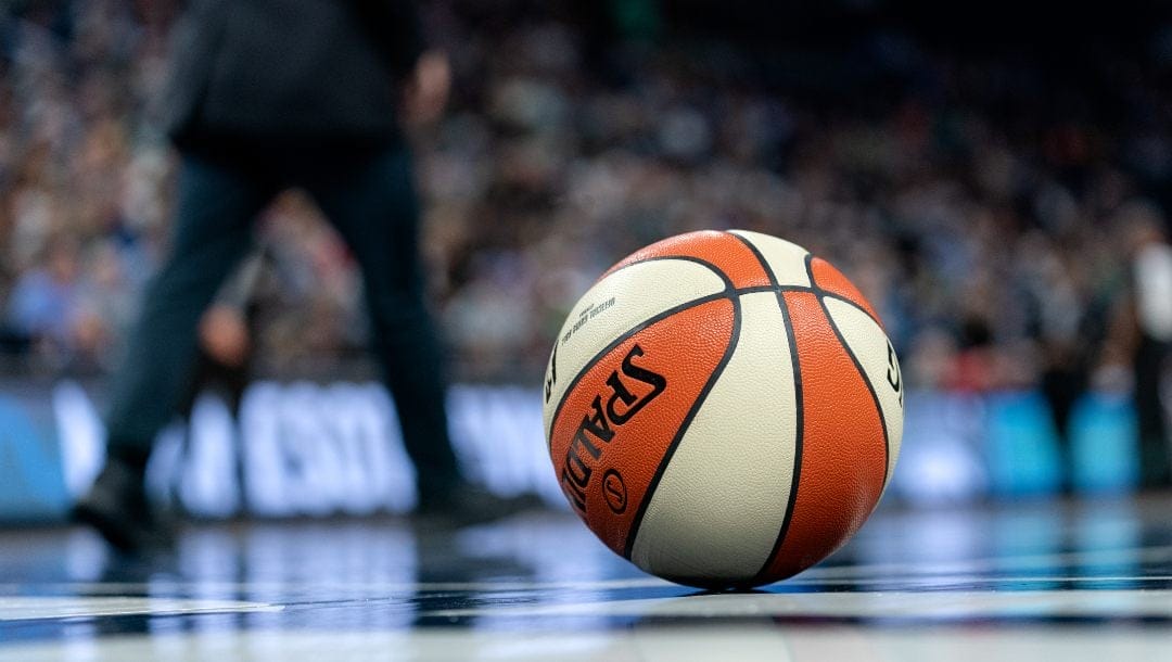 A photo of a WNBA basketball.