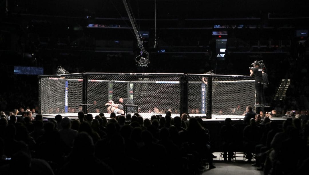 An overall, general view of the octagon at UFC Fight Night, Sunday, December 8, 2019, in Washington, D.C.