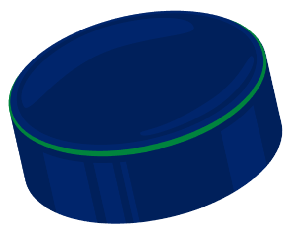 Vancouver Canucks Logo